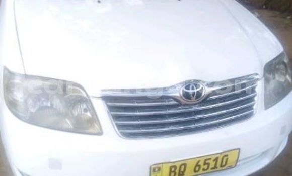 Acheter Occasion Voiture Toyota Corolla Blanc à Kasungu, Malawi Acheter Occasion Voiture Toyota Corolla Blanc à Kasungu, Malawi