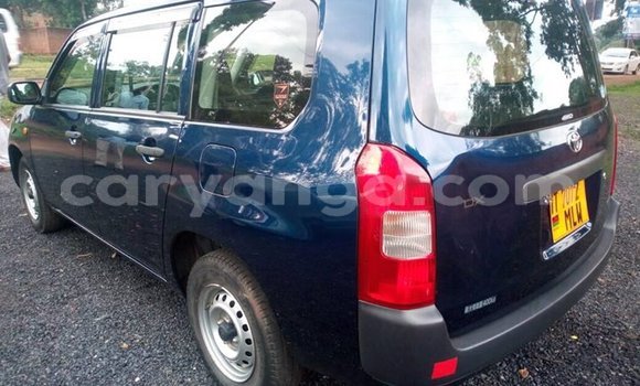 Nunua Ilio tumika Toyota Probox Blue Gari ndani ya Blantyre nchini Malawi Nunua Ilio tumika Toyota Probox Blue Gari ndani ya Blantyre nchini Malawi