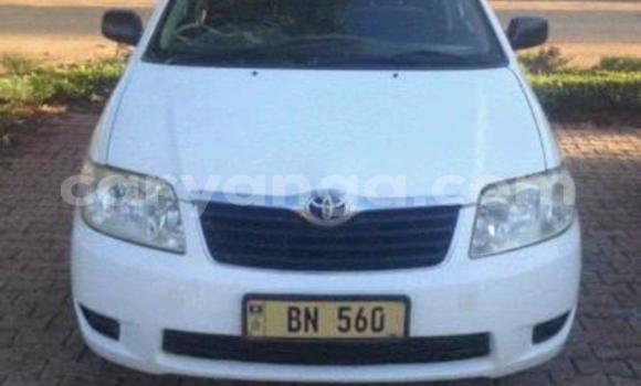 Buy Used Toyota Corolla White Car in Lilongwe in Malawi Buy Used Toyota Corolla White Car in Lilongwe in Malawi