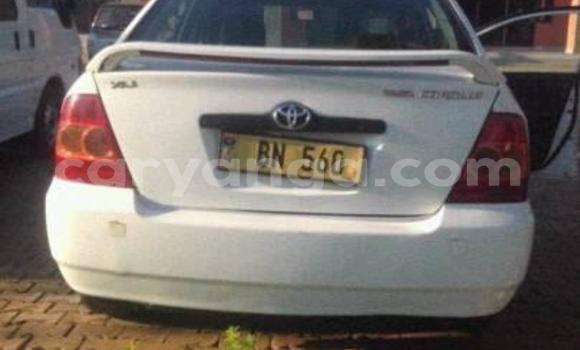 Buy Used Toyota Corolla White Car in Lilongwe in Malawi Buy Used Toyota Corolla White Car in Lilongwe in Malawi