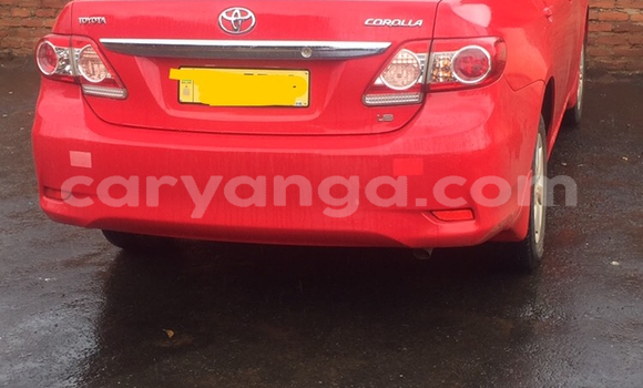 Buy Used Toyota Corolla Red Car in Lilongwe in Malawi
