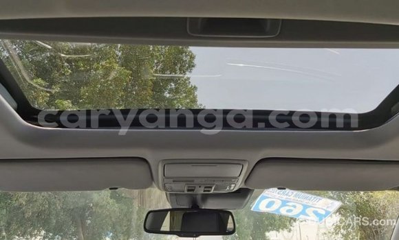 Buy Import Honda C Other Bike in Import - Dubai in Malawi Buy Import Honda C Other Bike in Import - Dubai in Malawi