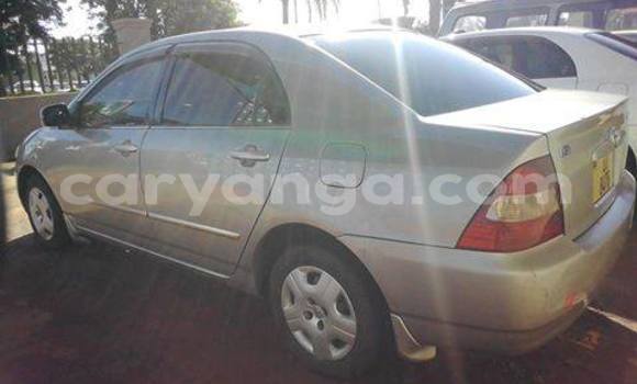 Buy Used Toyota Corolla Silver Car in Lilongwe in Malawi Buy Used Toyota Corolla Silver Car in Lilongwe in Malawi