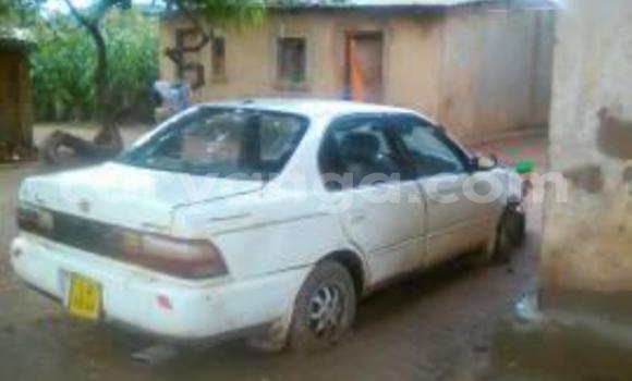 Buy Used Toyota Corolla White Car in Lilongwe in Malawi Buy Used Toyota Corolla White Car in Lilongwe in Malawi