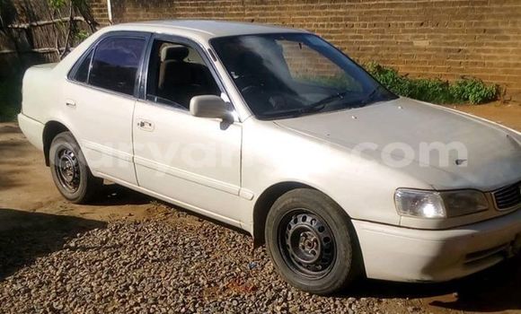 Buy Used Toyota Corolla White Car in Kasungu in Malawi Buy Used Toyota Corolla White Car in Kasungu in Malawi