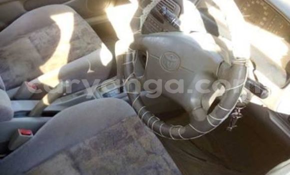 Acheter Occasion Voiture Toyota Corolla Blanc à Kasungu, Malawi Acheter Occasion Voiture Toyota Corolla Blanc à Kasungu, Malawi