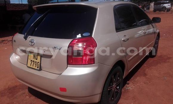 Buy Used Toyota Runx Other Car in Lilongwe in Malawi Buy Used Toyota Runx Other Car in Lilongwe in Malawi