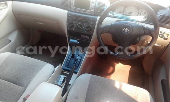 Buy Used Toyota Runx Other Car in Lilongwe in Malawi Buy Used Toyota Runx Other Car in Lilongwe in Malawi