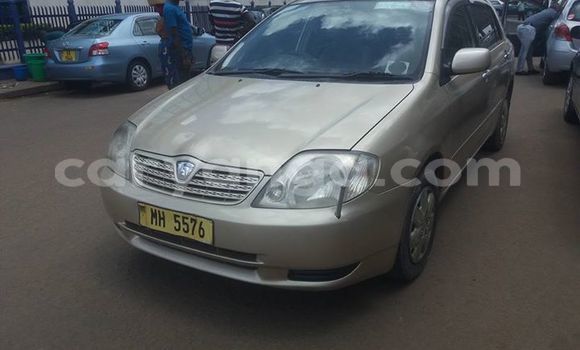 Buy Used Toyota Allex Other Car in Blantyre in Malawi