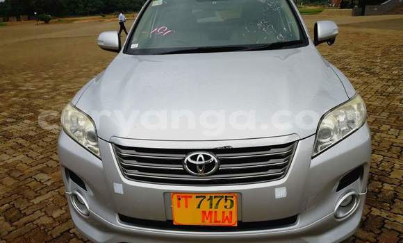 Buy Used Toyota RAV4 Silver Car in Lilongwe in Malawi Buy Used Toyota RAV4 Silver Car in Lilongwe in Malawi