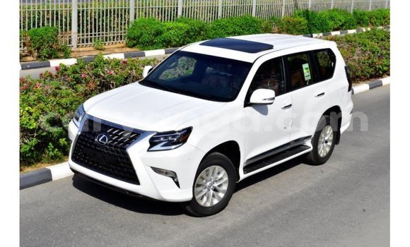 Buy Import Lexus GX White Car in Import - Dubai in Malawi Buy Import Lexus GX White Car in Import - Dubai in Malawi