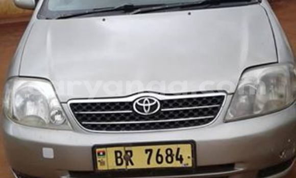 Buy Used Toyota Corolla Silver Car in Lilongwe in Malawi Buy Used Toyota Corolla Silver Car in Lilongwe in Malawi