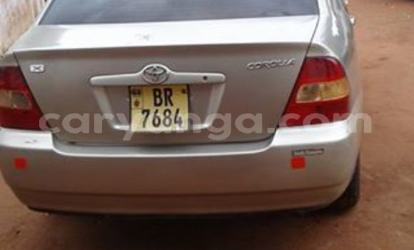 Buy Used Toyota Corolla Silver Car in Lilongwe in Malawi Buy Used Toyota Corolla Silver Car in Lilongwe in Malawi