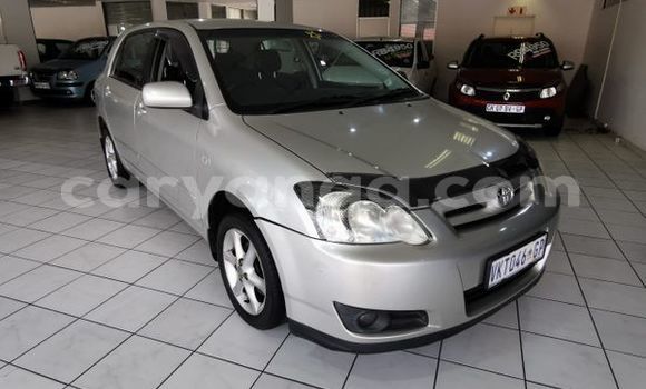 Buy Used Toyota Runx Silver Car in Chitipa in Chitipa Buy Used Toyota Runx Silver Car in Chitipa in Chitipa