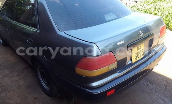 Buy Used Toyota Corolla Other Car in Lilongwe in Malawi Buy Used Toyota Corolla Other Car in Lilongwe in Malawi