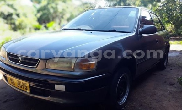 Buy Used Toyota Corolla Other Car in Lilongwe in Malawi Buy Used Toyota Corolla Other Car in Lilongwe in Malawi