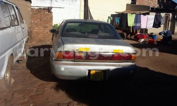 Buy Used Toyota Sprinter Silver Car in Lilongwe in Malawi Buy Used Toyota Sprinter Silver Car in Lilongwe in Malawi