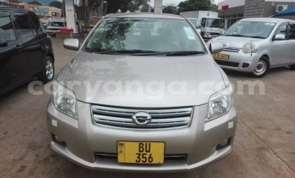 Buy Used Toyota Axio Other Car in Zomba in Malawi Buy Used Toyota Axio Other Car in Zomba in Malawi