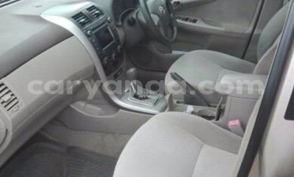 Buy Used Toyota Axio Other Car in Zomba in Malawi Buy Used Toyota Axio Other Car in Zomba in Malawi