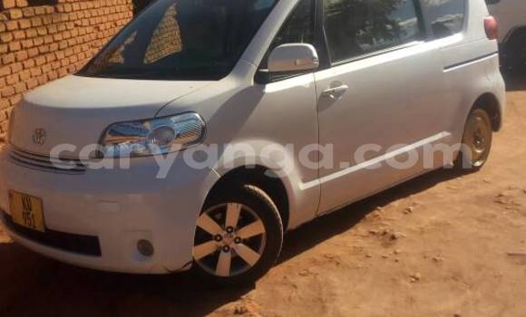Buy Used Toyota Porte White Car in Kasungu in Malawi Buy Used Toyota Porte White Car in Kasungu in Malawi