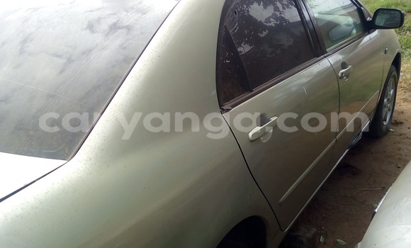 Buy Used Toyota VVTI Other Car in Kasungu in Malawi Buy Used Toyota VVTI Other Car in Kasungu in Malawi