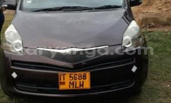 Buy Used Toyota Ractis Other Car in Blantyre in Malawi Buy Used Toyota Ractis Other Car in Blantyre in Malawi