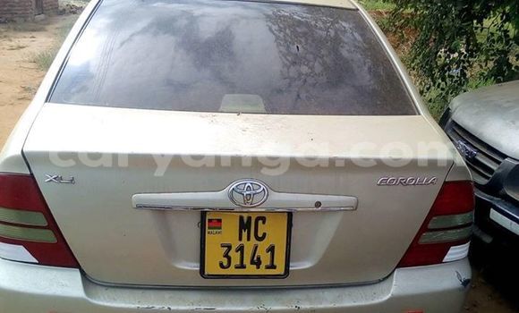 Acheter Occasion Voiture Toyota Corolla Gris à Kasungu, Malawi Acheter Occasion Voiture Toyota Corolla Gris à Kasungu, Malawi