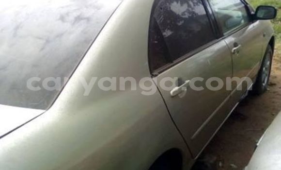 Acheter Occasion Voiture Toyota Corolla Gris à Kasungu, Malawi Acheter Occasion Voiture Toyota Corolla Gris à Kasungu, Malawi
