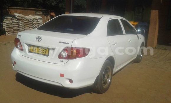 Buy Used Toyota Corolla White Car in Lilongwe in Malawi Buy Used Toyota Corolla White Car in Lilongwe in Malawi