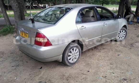 Buy Used Toyota Corolla Silver Car in Blantyre in Malawi Buy Used Toyota Corolla Silver Car in Blantyre in Malawi