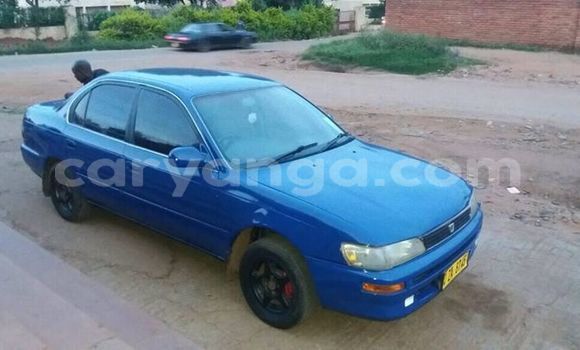 Buy Used Toyota Corolla Blue Car in Lilongwe in Malawi Buy Used Toyota Corolla Blue Car in Lilongwe in Malawi