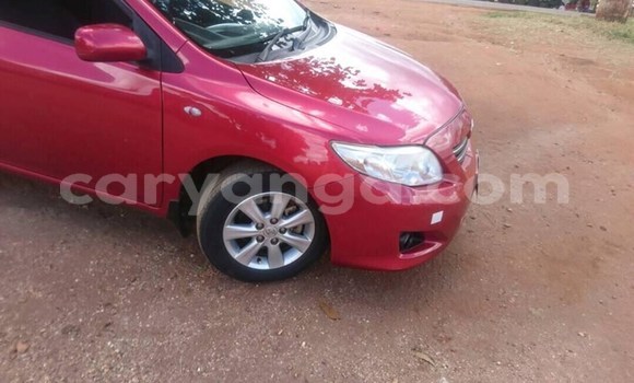 Buy Used Toyota Corolla Red Car in Lilongwe in Malawi Buy Used Toyota Corolla Red Car in Lilongwe in Malawi