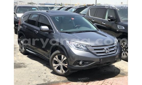 Buy Import Honda C Other Bike in Import - Dubai in Malawi Buy Import Honda C Other Bike in Import - Dubai in Malawi