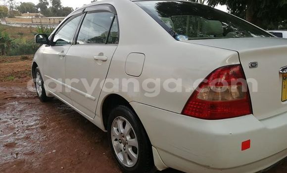 Acheter Occasion Voiture Toyota Corolla Blanc à Lilongwe, Malawi Acheter Occasion Voiture Toyota Corolla Blanc à Lilongwe, Malawi