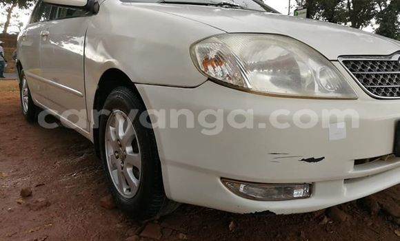 Acheter Occasion Voiture Toyota Corolla Blanc à Lilongwe, Malawi Acheter Occasion Voiture Toyota Corolla Blanc à Lilongwe, Malawi