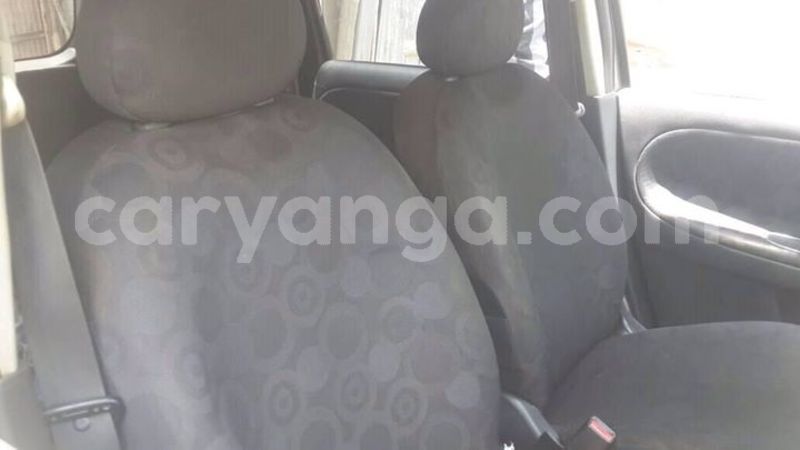 Big with watermark 30713367 2109701875916457 3681336901257956076 n