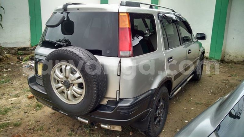 Big with watermark 30629329 194112211393369 244064733525704704 n