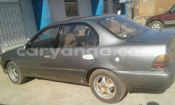 Nunua Ilio tumika Toyota Corolla Other Gari ndani ya Lilongwe nchini Malawi Nunua Ilio tumika Toyota Corolla Other Gari ndani ya Lilongwe nchini Malawi