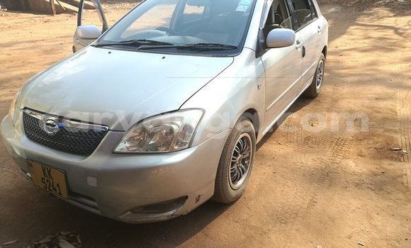 Acheter Occasion Voiture Toyota Runx Autre à Lilongwe, Malawi Acheter Occasion Voiture Toyota Runx Autre à Lilongwe, Malawi