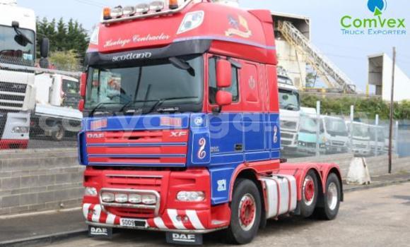 Buy Used DAF CF65 Red Truck in Blantyre in Malawi