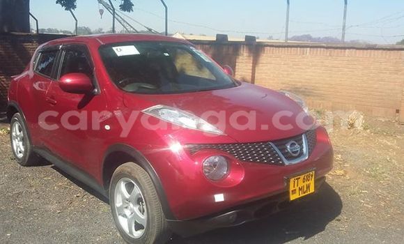 Nunua Ilio tumika Nissan Juke Red Gari ndani ya Blantyre nchini Malawi Nunua Ilio tumika Nissan Juke Red Gari ndani ya Blantyre nchini Malawi