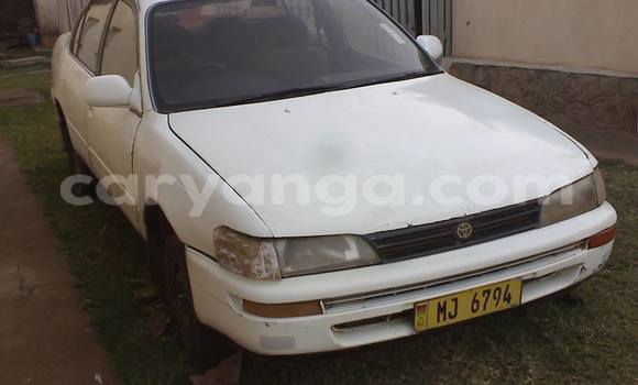 Buy Used Toyota Corolla Black Car in Limbe in Malawi Buy Used Toyota Corolla Black Car in Limbe in Malawi
