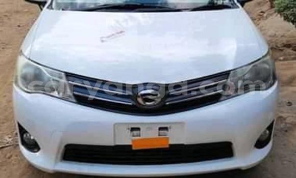 Buy Used Toyota Axio White Car in Blantyre in Malawi Buy Used Toyota Axio White Car in Blantyre in Malawi