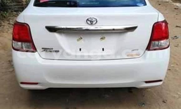 Buy Used Toyota Axio White Car in Blantyre in Malawi Buy Used Toyota Axio White Car in Blantyre in Malawi
