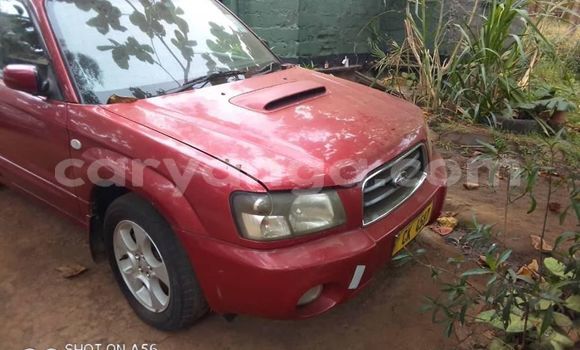 Buy Used Subaru Forester Red Car in Blantyre in Malawi