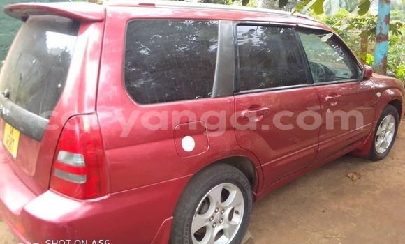 Buy Used Subaru Forester Red Car in Blantyre in Malawi Buy Used Subaru Forester Red Car in Blantyre in Malawi