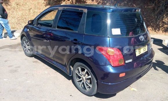 Buy Used Toyota IST Blue Car in Blantyre in Malawi Buy Used Toyota IST Blue Car in Blantyre in Malawi
