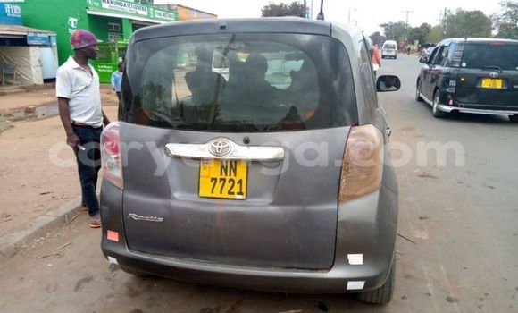 Buy Used Toyota Ractis Other Car in Blantyre in Malawi Buy Used Toyota Ractis Other Car in Blantyre in Malawi