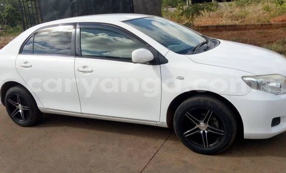 Acheter Occasion Voiture Toyota Axio Blanc à Lilongwe, Malawi Acheter Occasion Voiture Toyota Axio Blanc à Lilongwe, Malawi