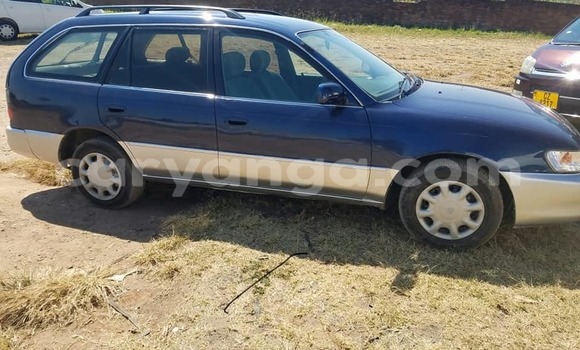 Acheter Occasion Voiture Toyota Corolla Bleu à Blantyre, Malawi Acheter Occasion Voiture Toyota Corolla Bleu à Blantyre, Malawi